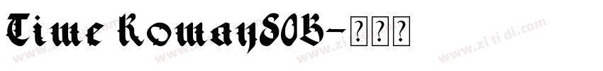 Time Roman80B字体转换